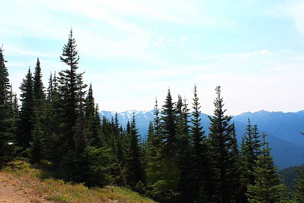 HURRICANE RIDGE