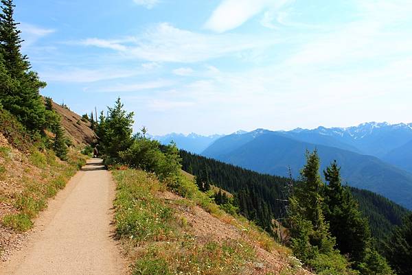 HURRICANE RIDGE