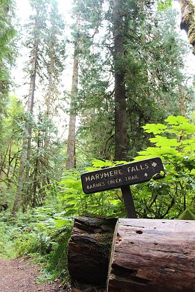 MARYMERE FALLS TRAIL