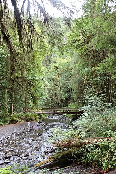 MARYMERE FALLS TRAIL