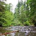 MARYMERE FALLS TRAIL