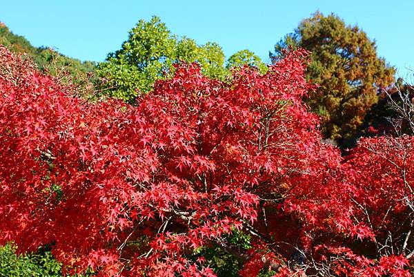 須磨離宮公園