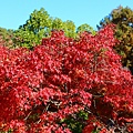 須磨離宮公園