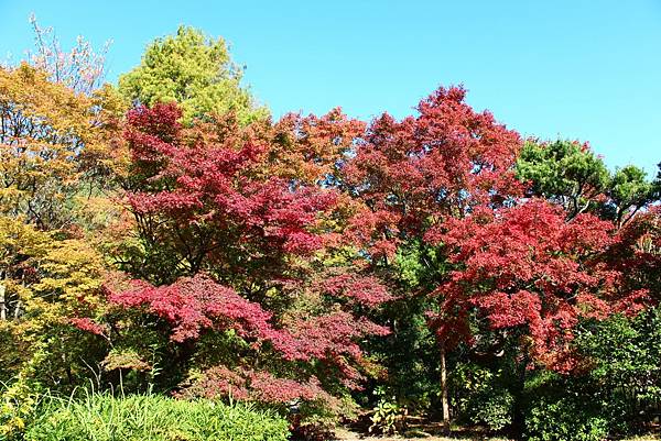 須磨離宮公園