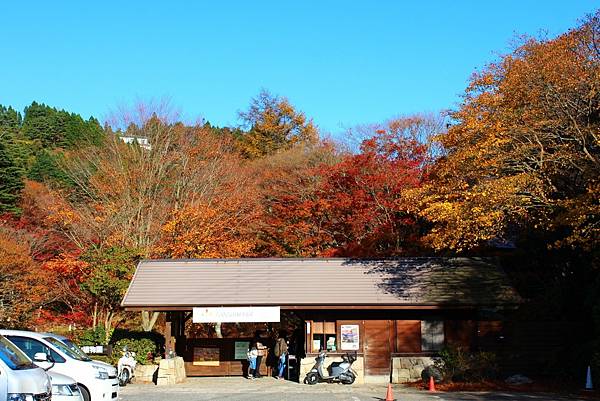 六甲高山植物園