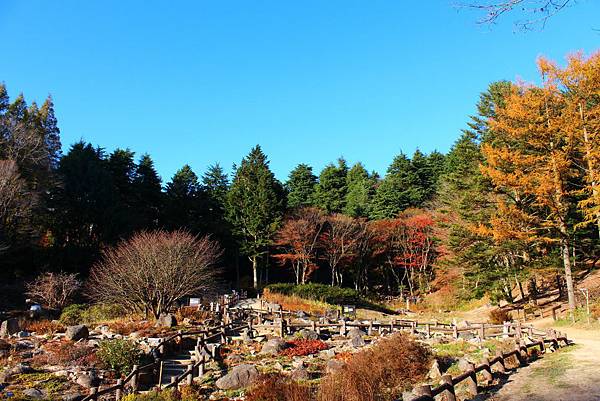 六甲高山植物園