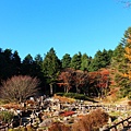 六甲高山植物園