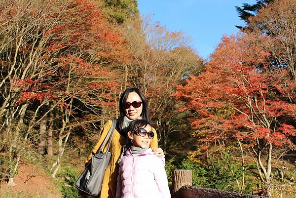 六甲高山植物園