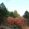 六甲高山植物園