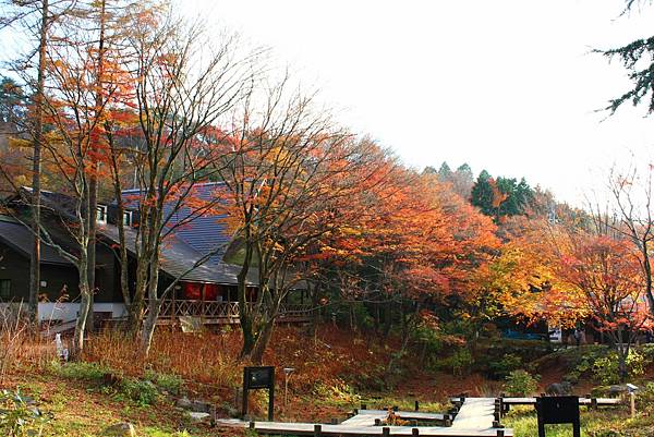 六甲高山植物園