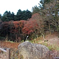 六甲高山植物園