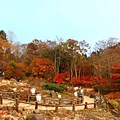 六甲高山植物園