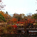 六甲高山植物園