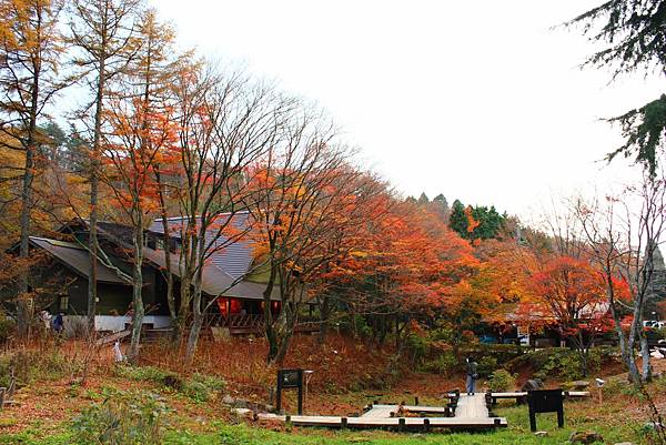 六甲高山植物園