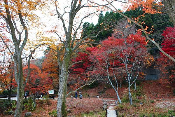 六甲高山植物園