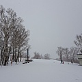 函館七飯滑雪場