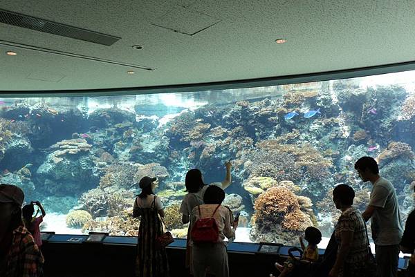 美麗海水族館