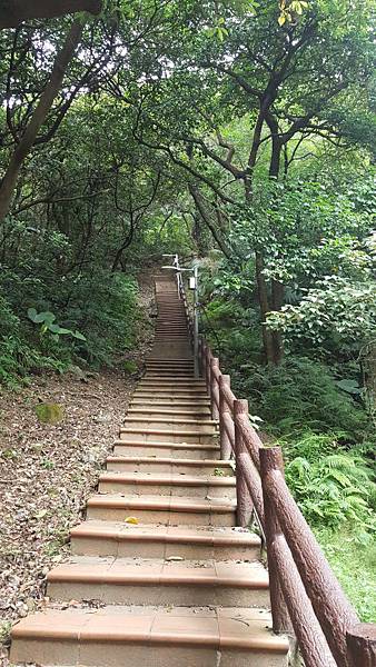 鶯歌石登山步道