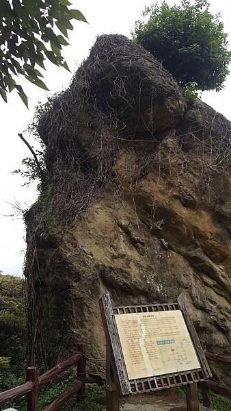 鶯歌石登山步道