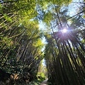 奮起湖大凍山步道