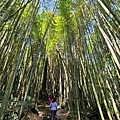 奮起湖大凍山步道