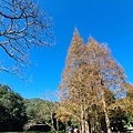 福山植物園