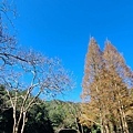 福山植物園