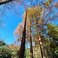 福山植物園