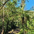 福山植物園