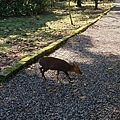 福山植物園