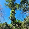 福山植物園