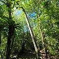 福山植物園