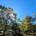 福山植物園