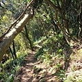 三峽鳶山