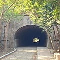 崎頂子母隧道