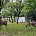 虎頭山新創園區