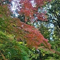 成田山公園