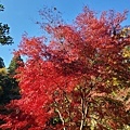 成田山公園