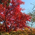 成田山公園