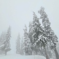 Mt. Seymour