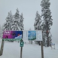 Mt. Seymour