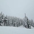 Mt. Seymour