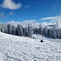 Mt. Seymour