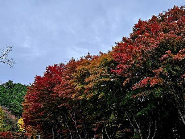 橫川中堂