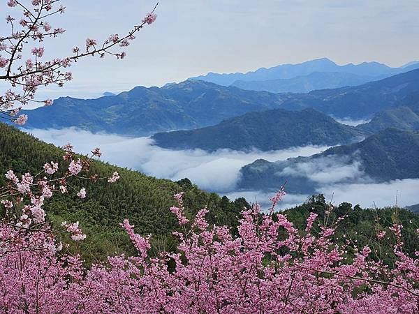 山上人家森林農場