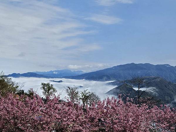 山上人家森林農場