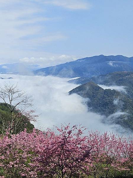 山上人家森林農場