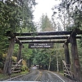 Mt. Rainer National Park