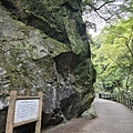 箕面公園