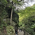 箕面公園